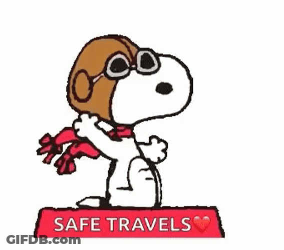 Safe Travels GIF