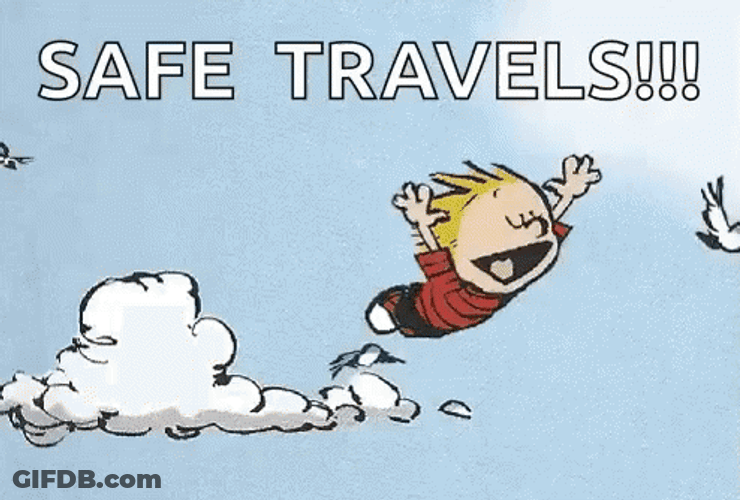 Safe Travels Calvin Flying With Birds GIF