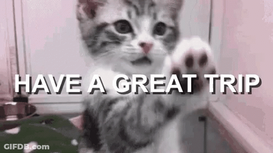Safe Travels Cute Kitty Paw GIF