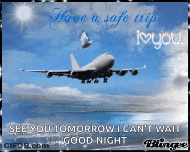 Safe Travels GIF