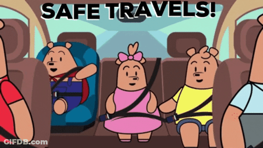 Safe Travels Pants Bear Family GIF