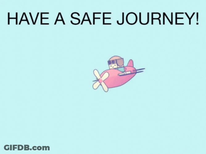 Safe Travels Pink Plane Mid Air GIF