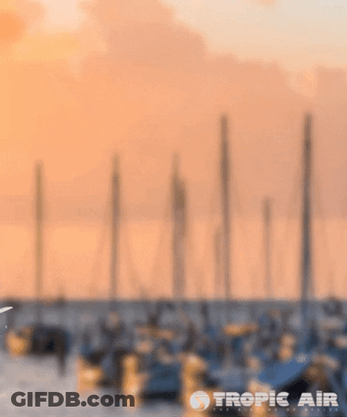 Safe Travels Plane Taking Off GIF