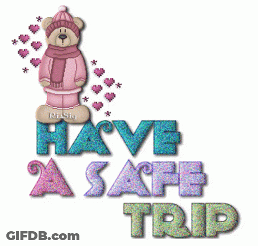 Safe Travels Safe Trip Brown Bear GIF