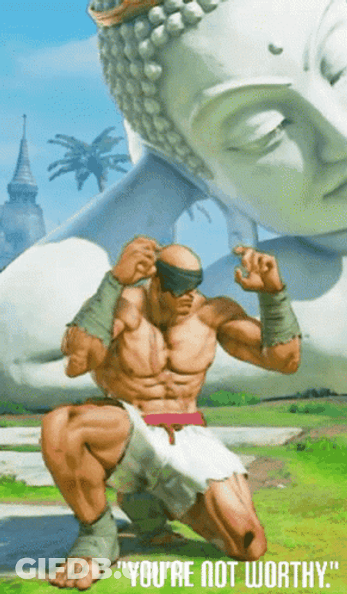 Sagat Saying We Are Not Worthy GIF