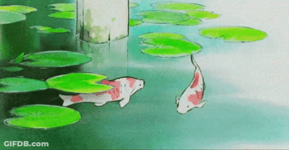 Sage Green Koi Pond GIF
