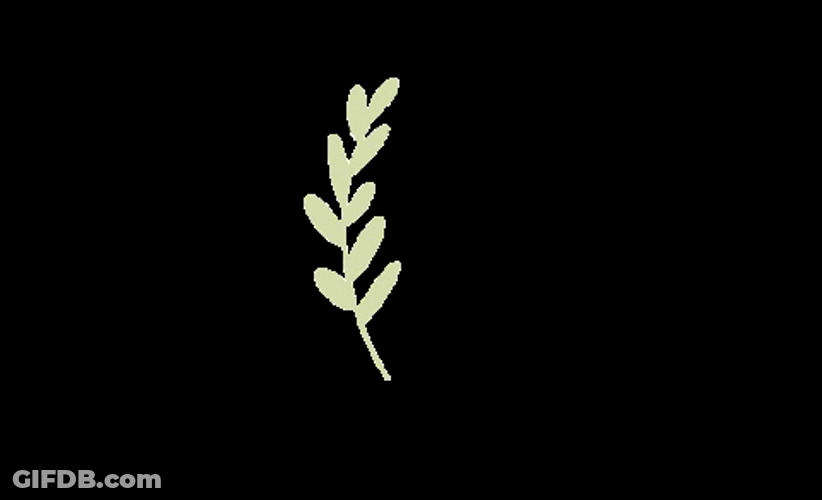 Sage Green Plant Leaf GIF