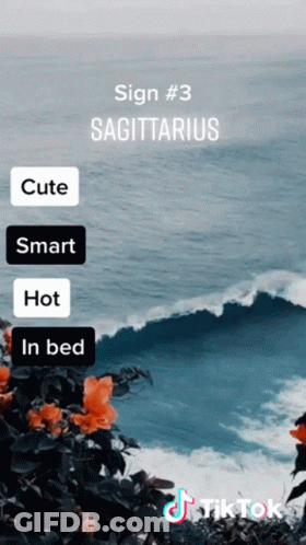Sagittarius Sign With Ocean Background GIF