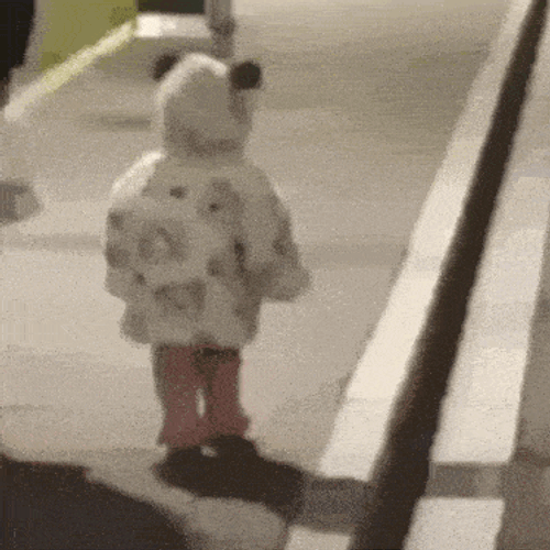 Sahads1 GIF