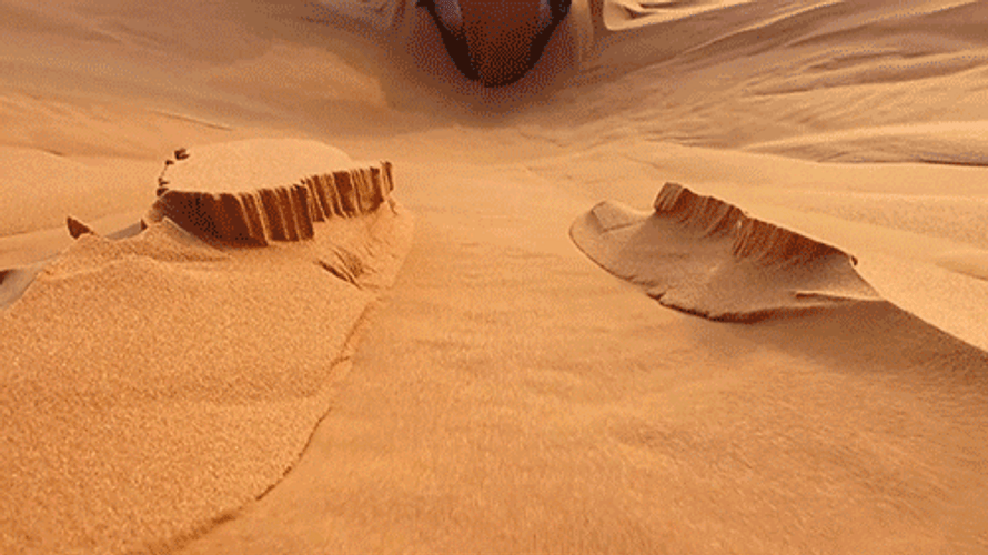 Sahara Desert Digging GIF