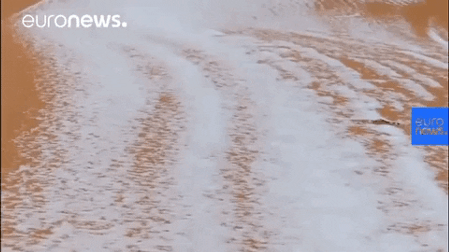 Sahara Desert Snow GIF