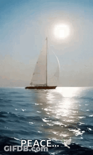 Sailboat Floating On Water With Sun GIF