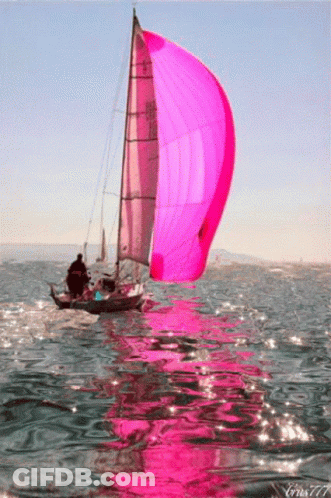 Sailboat With Pink Sail Floating In Ocean GIF