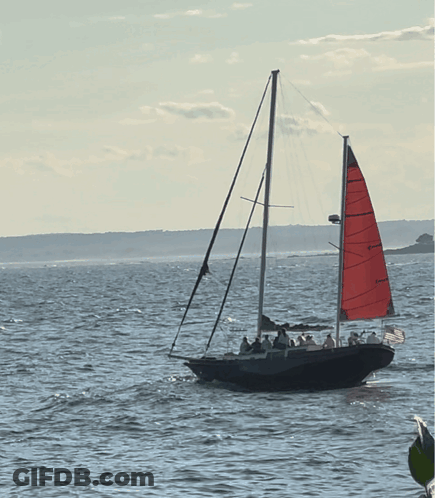 Sailboat With Red Sail Floating GIF