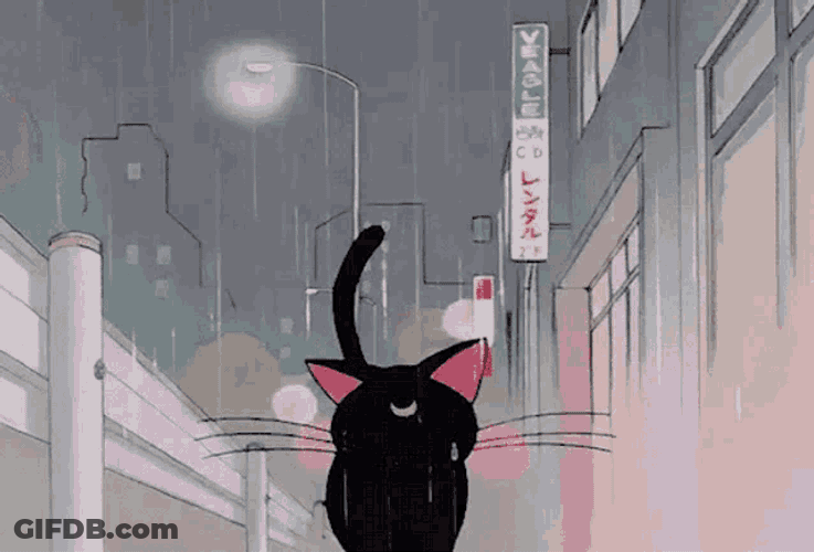 Sailor Moon Cat GIF