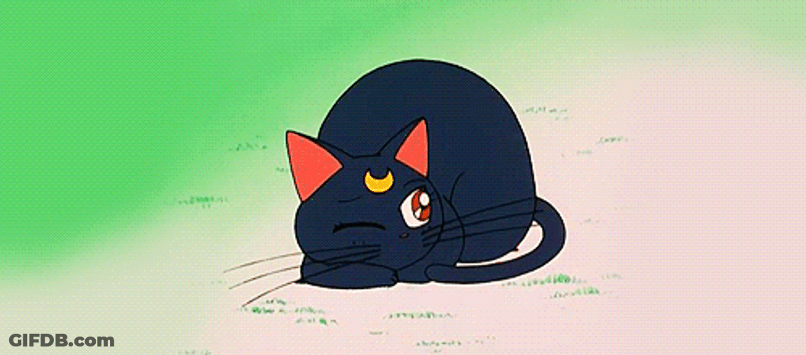 Sailor Moon Cat Sleeping GIF