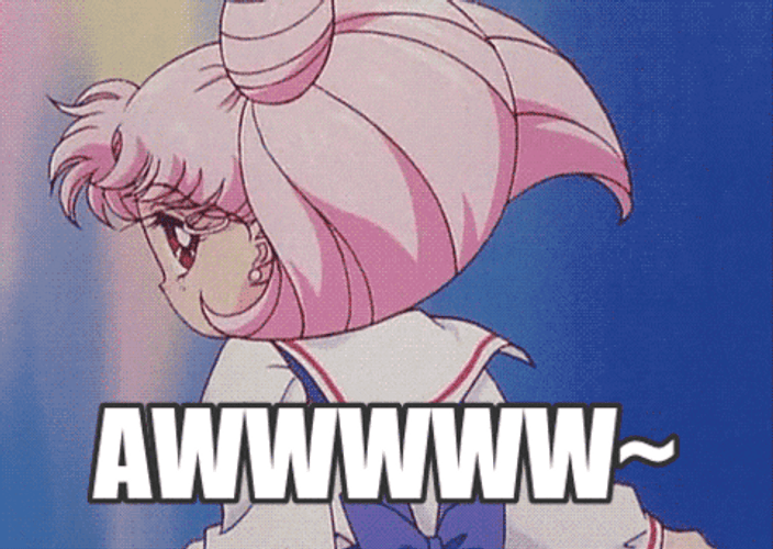 Sailor Moon Chibiusa Awww GIF