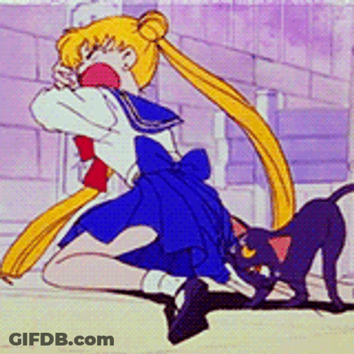 Sailor Moon I Dont Want To Crying GIF