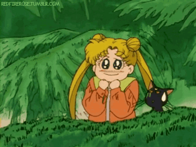 Sailor Moon Luna GIF