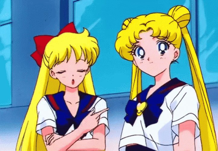 Sailor Venus And Sailor Moon GIF