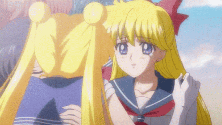 Sailor Venus Hugging Artemis GIF
