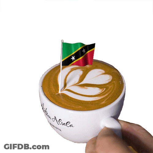 Saint Kitts And Nevis Flag GIF