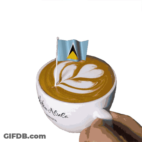 Saint Lucia Castries GIF