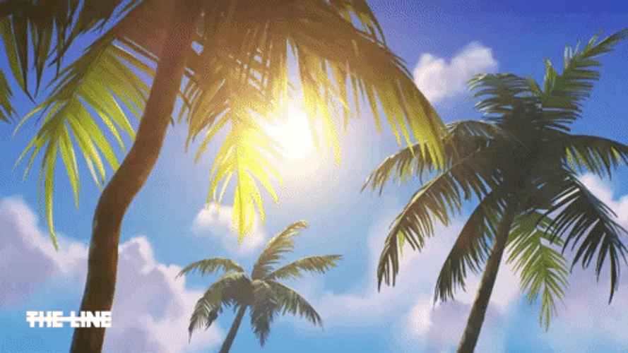 Saint Lucia Palm Trees GIF
