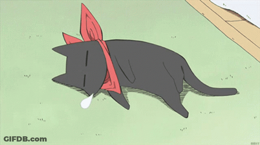 Sakamoto Cat Anime Sleep GIF