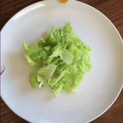 Salad Plate Stop Motion GIF