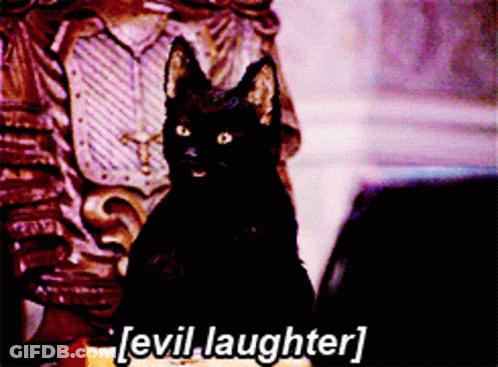 Salem Sabrina GIF