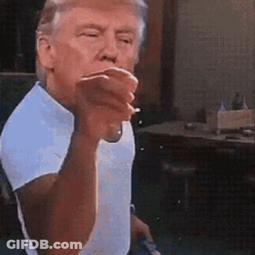 Salt Bae Donald Trump Face GIF