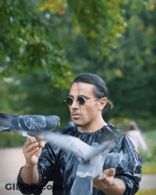 Salt Bae Enjoying Birds GIF