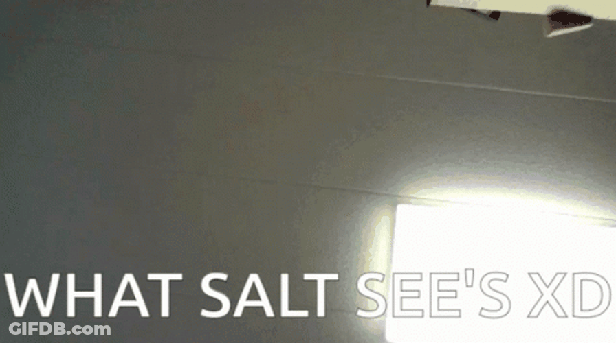 Salt Point Of View GIF