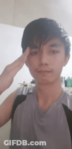 Salute Ready GIF