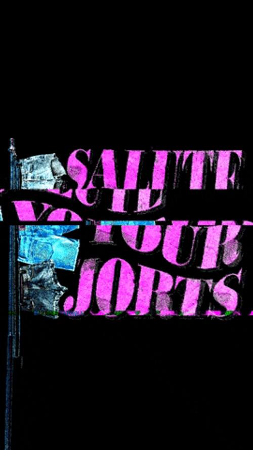 Salute Your Jorts GIF