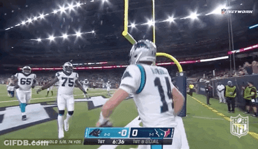 Sam Darnold Touchdown GIF