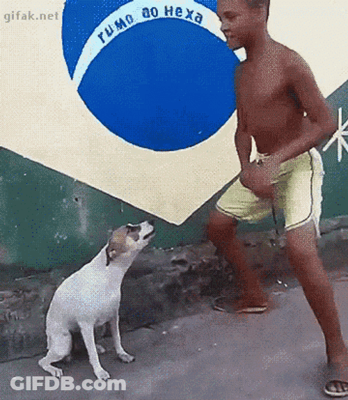 Samba Dog GIF