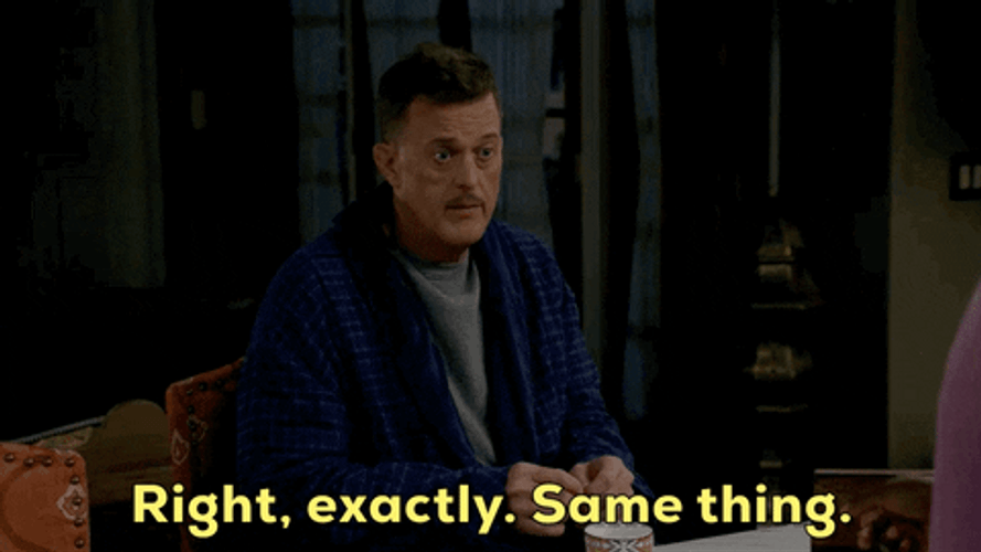 Samesies Exactly Same Thing GIF