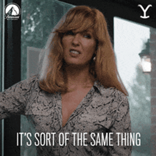Samesies Yellowstone Same Thing GIF