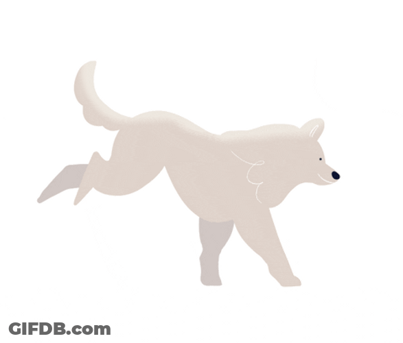 Samoyed Dog Running Animation GIF