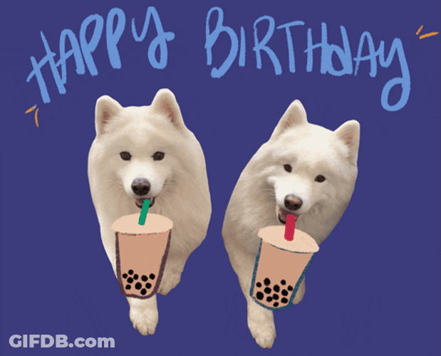 Samoyed Happy Birthday Graphic Design GIF