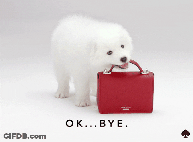 Samoyed Puppy Snatching Bag GIF