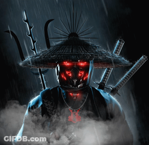 Samurai In Thatched Hat Holding Swords GIF