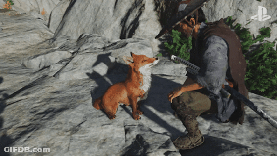 Samurai Man And Fox GIF