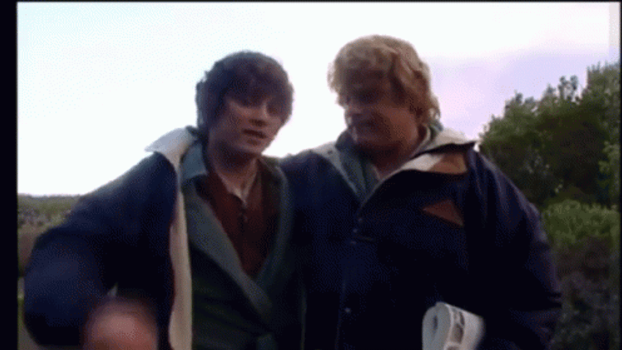 Samwise Gamgee And Frodo Baggins Accomplishment GIF