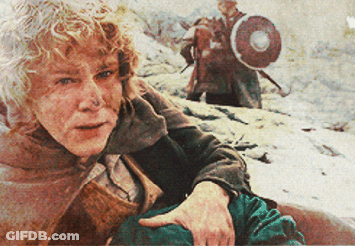 Samwise Gamgee And Pippin Took GIF