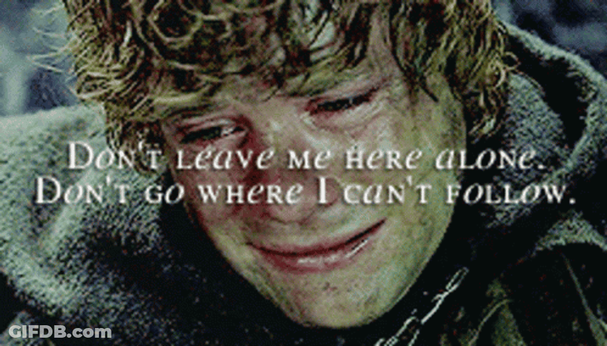 Samwise Gamgee Dont Leave Me Here Alone GIF