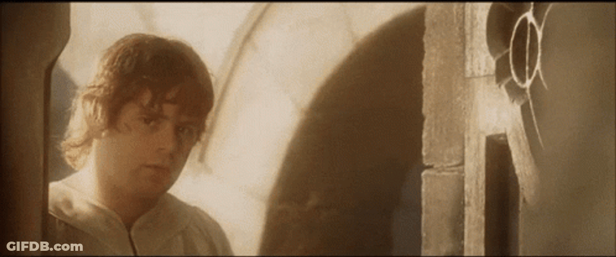Samwise Gamgee Entering The Door GIF
