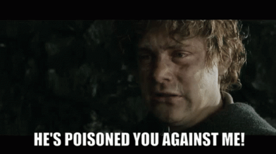Samwise Gamgee Hes Poisoned You Against Me GIF